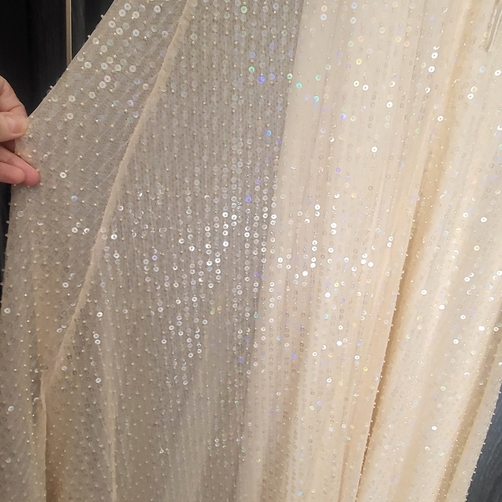 Zara Women's Beaded Sheer Sequins Maxi Dress Beige Size L - Picture 10 of 16